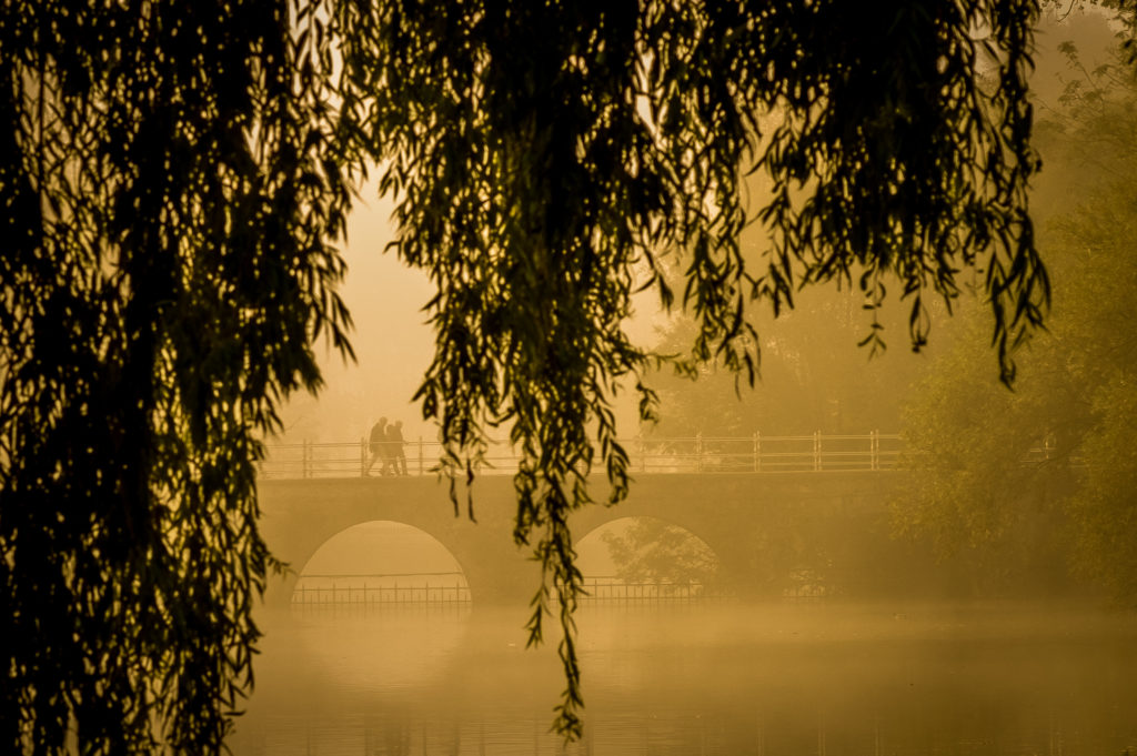 Couple marche sur pont à l'aube dorée sur Minnewater à Bruges